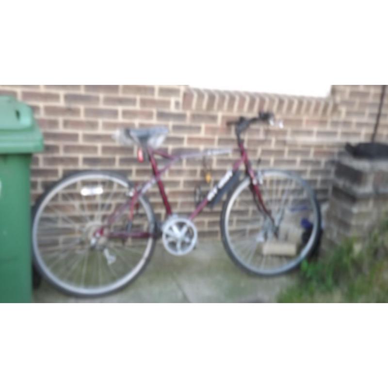 gents 24" wheel bike for sale