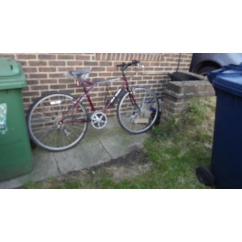 gents 24" wheel bike for sale