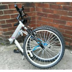 folding mountain bike (new)