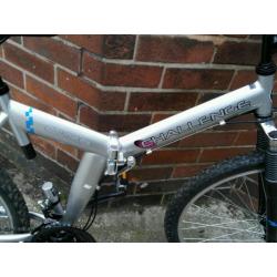 folding mountain bike (new)
