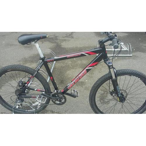 Specialized Rockhopper 19"