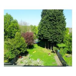 BIG TWIN ROOM/CRYSTAL PALACE AREA/GRAND VICTORIAN HOUSE/PROFESSIONAL KITCHEN/BIG GARAGE&HUGE GARDEN/