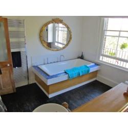BIG TWIN ROOM/CRYSTAL PALACE AREA/GRAND VICTORIAN HOUSE/PROFESSIONAL KITCHEN/BIG GARAGE&HUGE GARDEN/