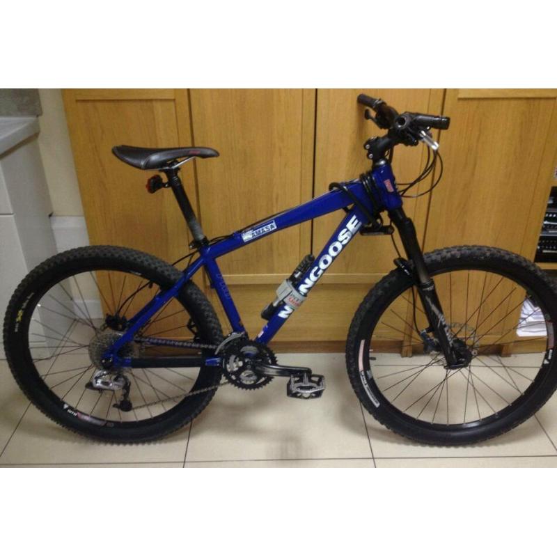 Mongoose Amasa