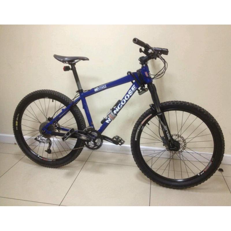 Mongoose Amasa