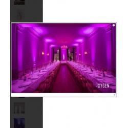 Wedding singer/band /entertainment