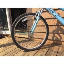 Ladies Blue Raleigh Bike