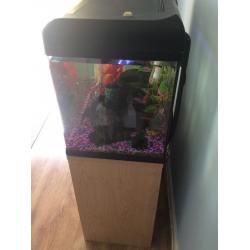 VF 127 aquamanta fish tank