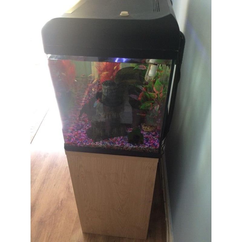 VF 127 aquamanta fish tank