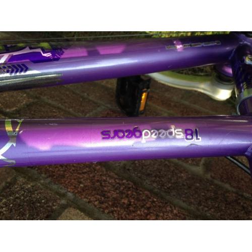 Girls Triumph Roma bike