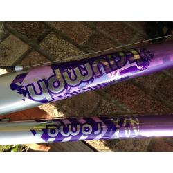 Girls Triumph Roma bike