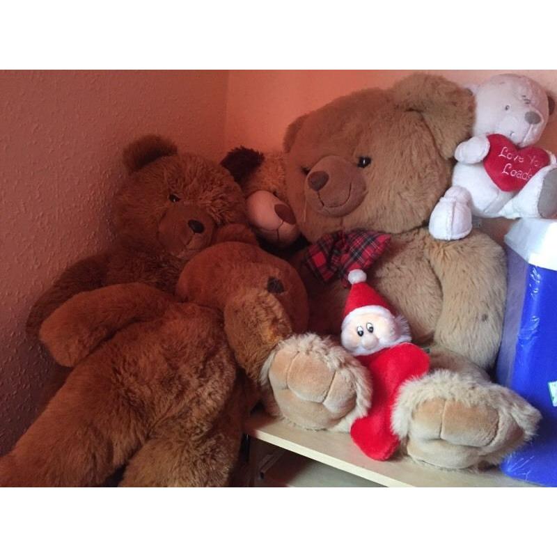 Teddy bear