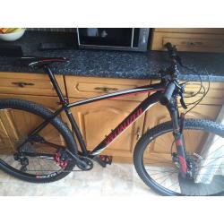 Specialized mountain bike