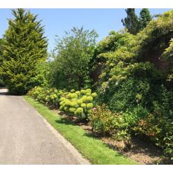 Thickthorn Garden Care - Gardening services to suit all wants and needs.
