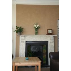 Extra-large double bedroom - flat share in Roath Park.