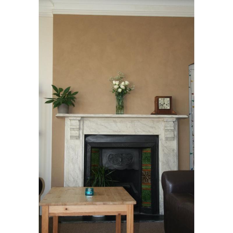 Extra-large double bedroom - flat share in Roath Park.