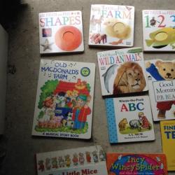 25 board books