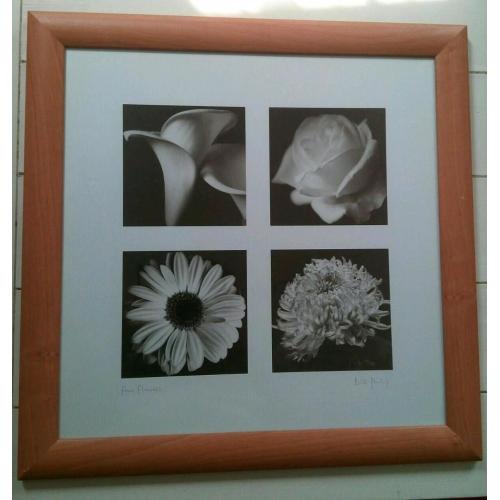 Bill Philip - Four Flowers. Beautiful picture in frame