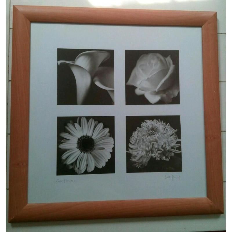 Bill Philip - Four Flowers. Beautiful picture in frame