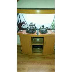 FLUVAL JEWEL BOW FRONTED 260LTR FISH TANK AND STAND IN BEACH