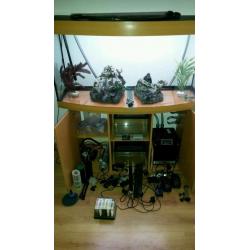 FLUVAL JEWEL BOW FRONTED 260LTR FISH TANK AND STAND IN BEACH
