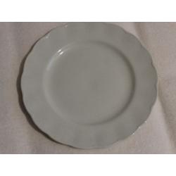 Petalware dinner plates for sale