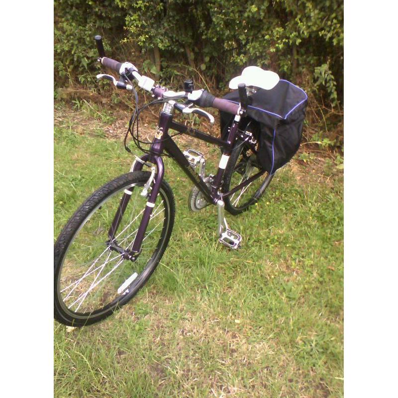 Ladies bicycle