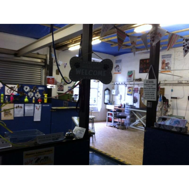 Dog grooming business