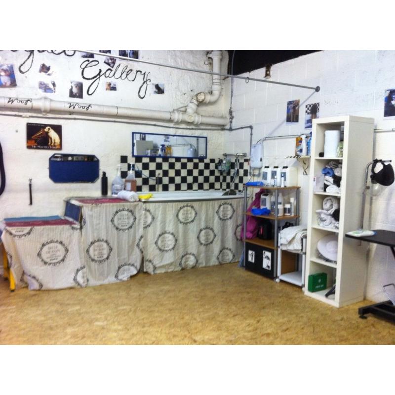 Dog grooming business