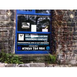 Dog grooming business
