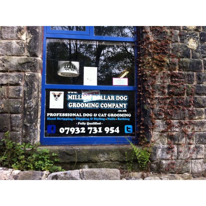 Dog grooming business