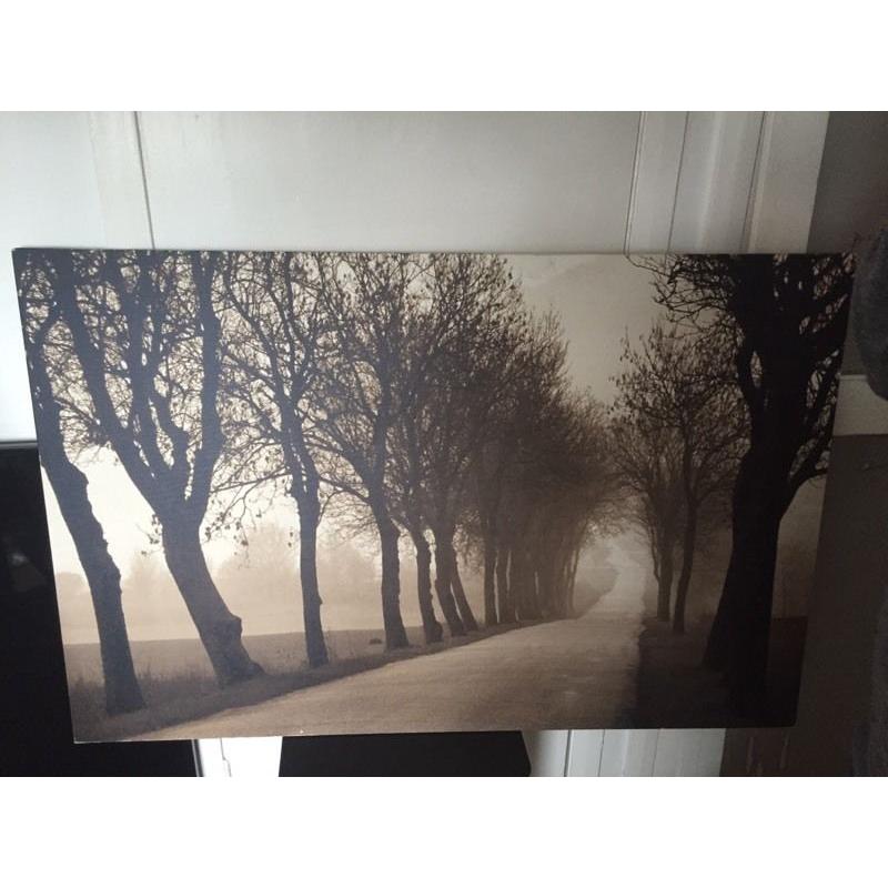 Set of 4 canvas pictures