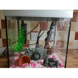 Fish tank