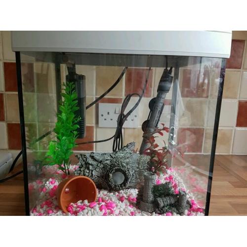 Fish tank