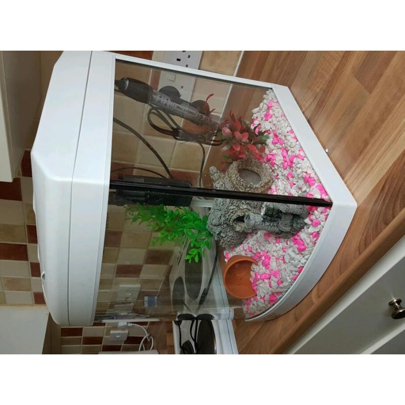 Fish tank