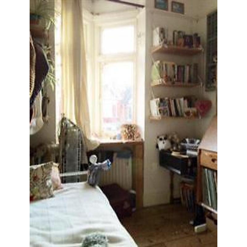 Lovely, bright affordable room on quiet leafy street.