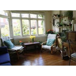 Lovely, bright affordable room on quiet leafy street.
