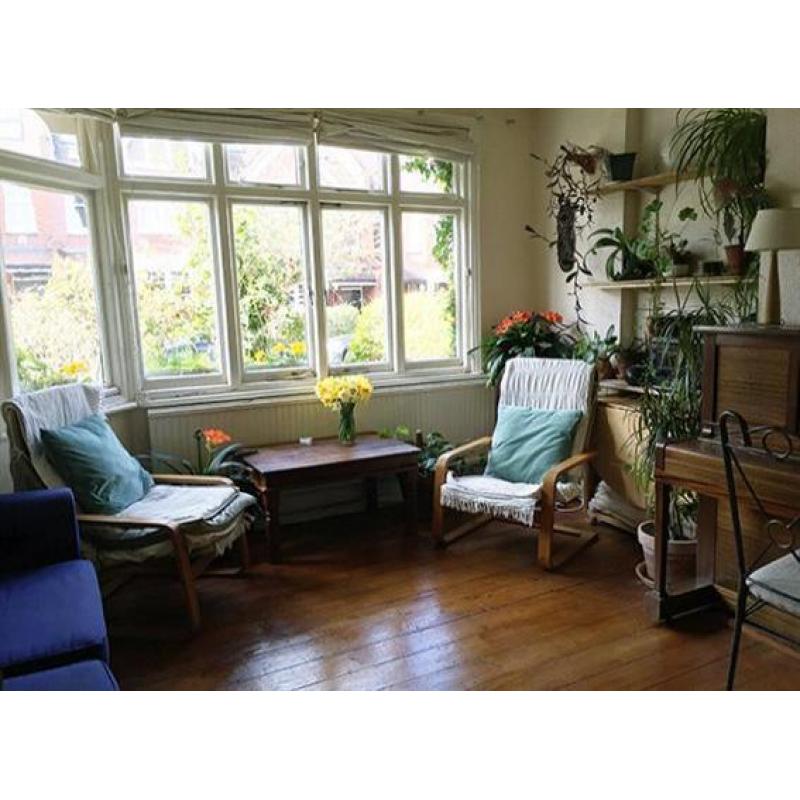 Lovely, bright affordable room on quiet leafy street.