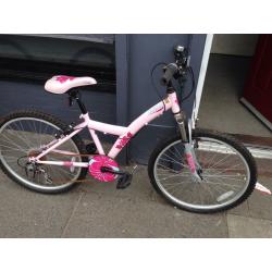 Little girls mountain bike in exellent condition