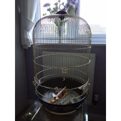 Bird Cage and Accessories