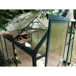 8'x6' Greenhouse