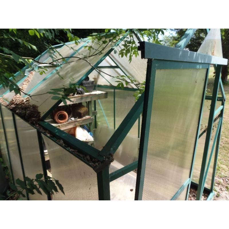 8'x6' Greenhouse