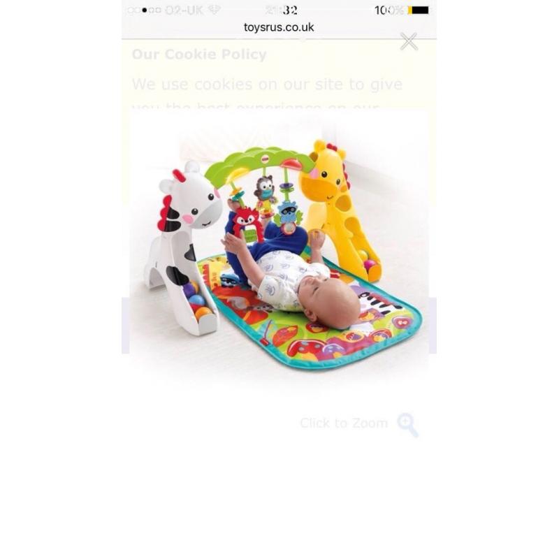 Baby play gym