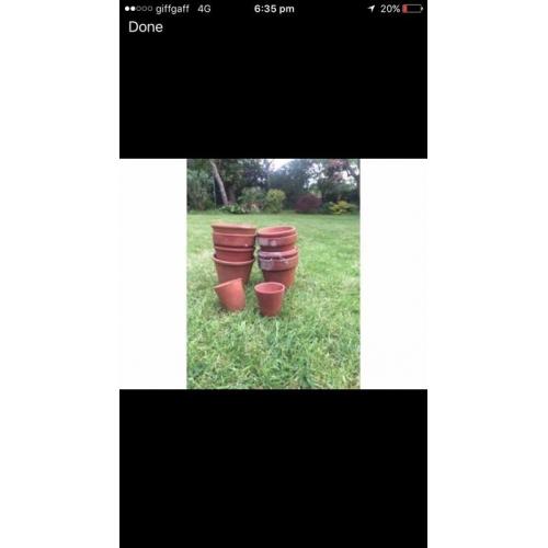Terracotta pots