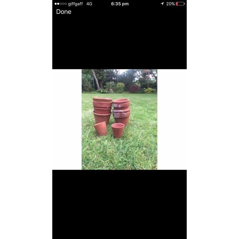 Terracotta pots