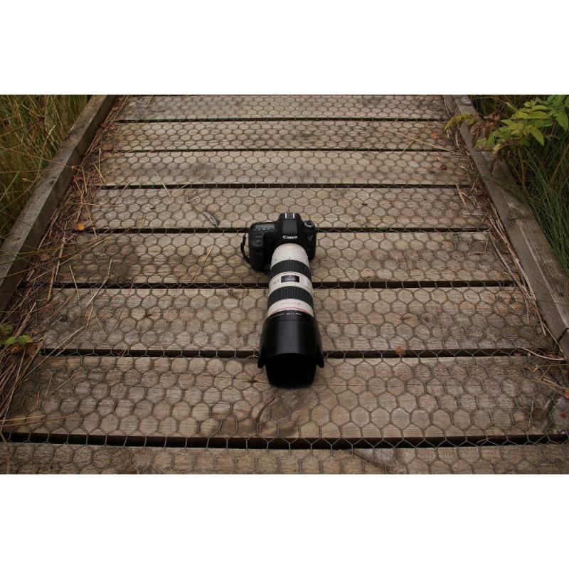 Canon 70-200 F/2.8L IS Lens