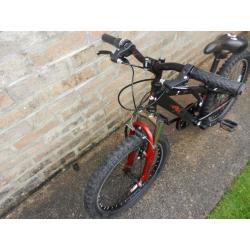Boys bike