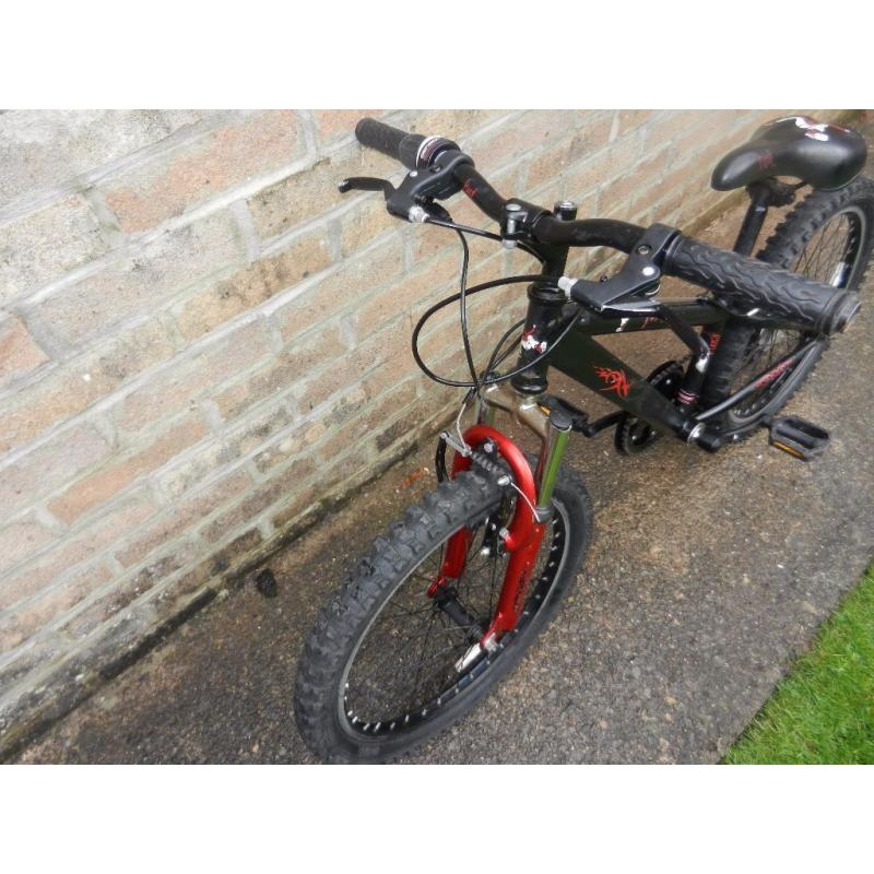Boys bike