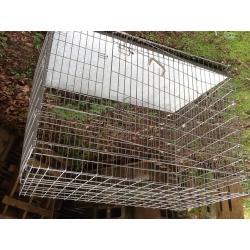 Dog cage for large dog