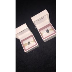 Pandora charms